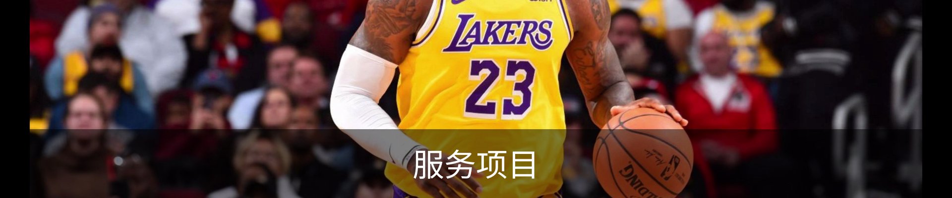 服务项目